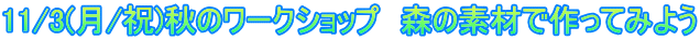 11/3(月/祝)秋のワークショップ 森の素材で作ってみよう