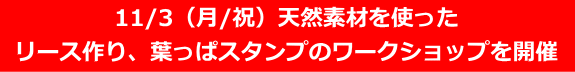 秋のワークショップ　森の素材で作ってみよう 2025/11/3（月/文化の日）