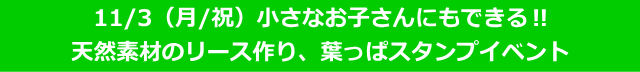 秋のワークショップ 森の素材で作ってみよう 2025/11/3(月/文化の日)