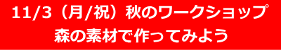 秋のワークショップ　森の素材で作ってみよう 2025/11/3（月/文化の日）