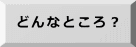 どんなところ？