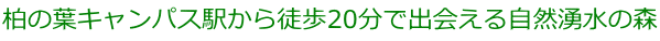 柏の葉キャンパス駅から徒歩20分で出会える自然湧水の森
