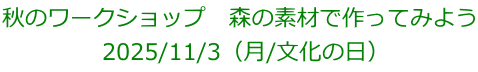秋のワークショップ　森の素材で作ってみよう 2025/11/3（月/文化の日）