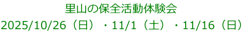里山の保全活動体験会 2025/10/26（日）・11/1（土）・11/16（日）